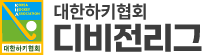 대한 하키협회 디비전리그